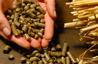 free Plain Dealings biomass boiler quotes